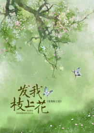 发我投资的两个项目文案
