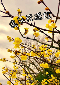这朵花美丽吗怎么加标点