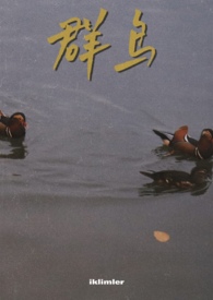群鸟乱飞的征兆历史上
